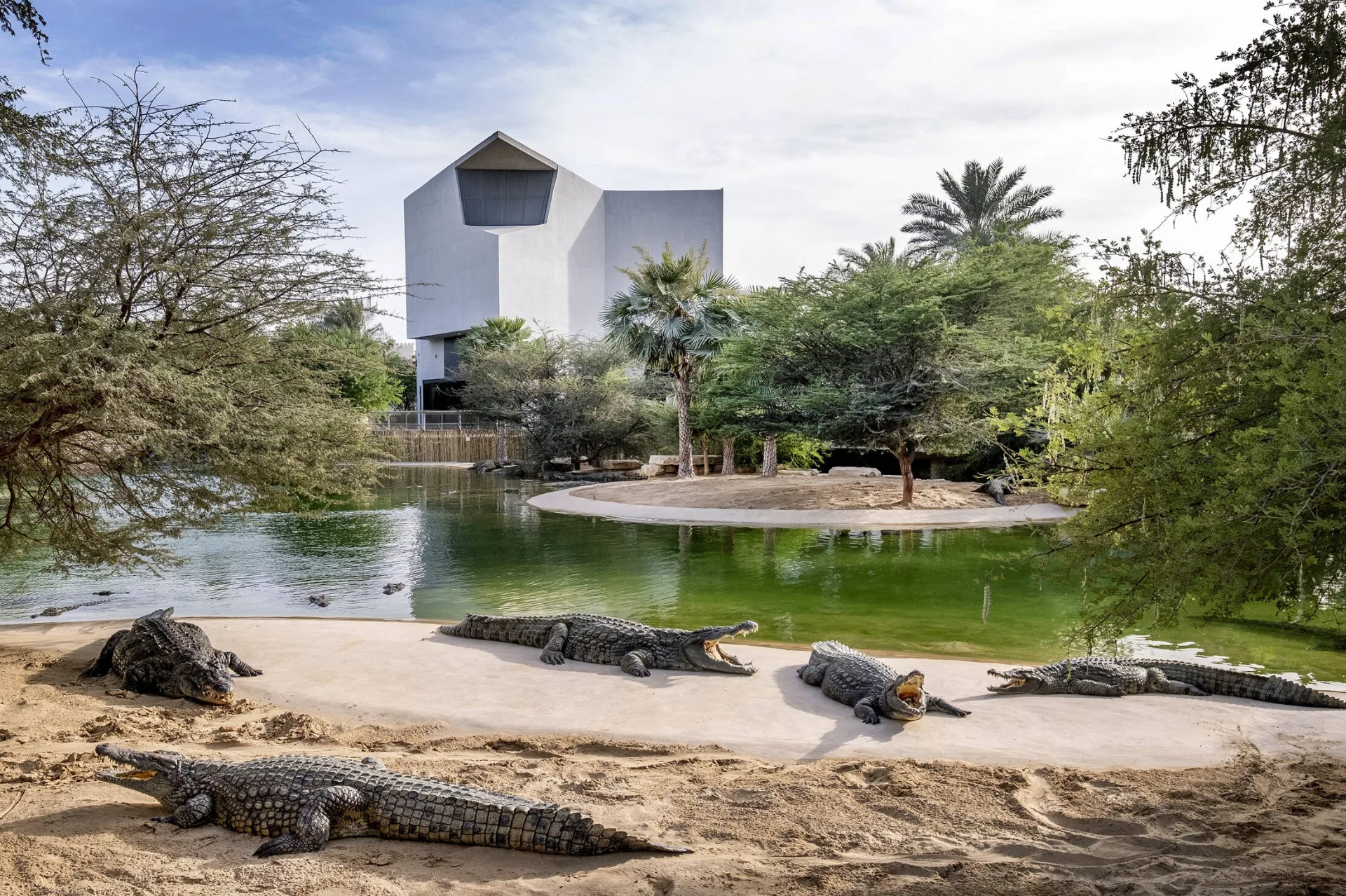 Dubai Crocodile Park