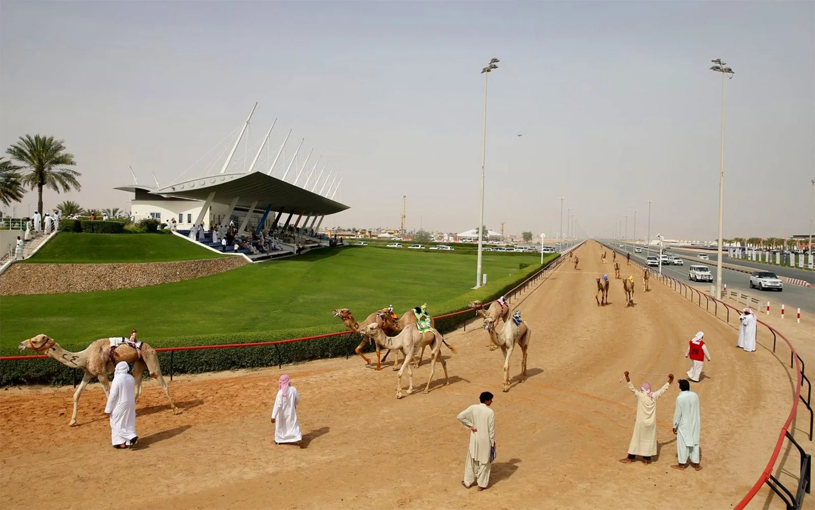 Al Marmoom Camel Racetrack