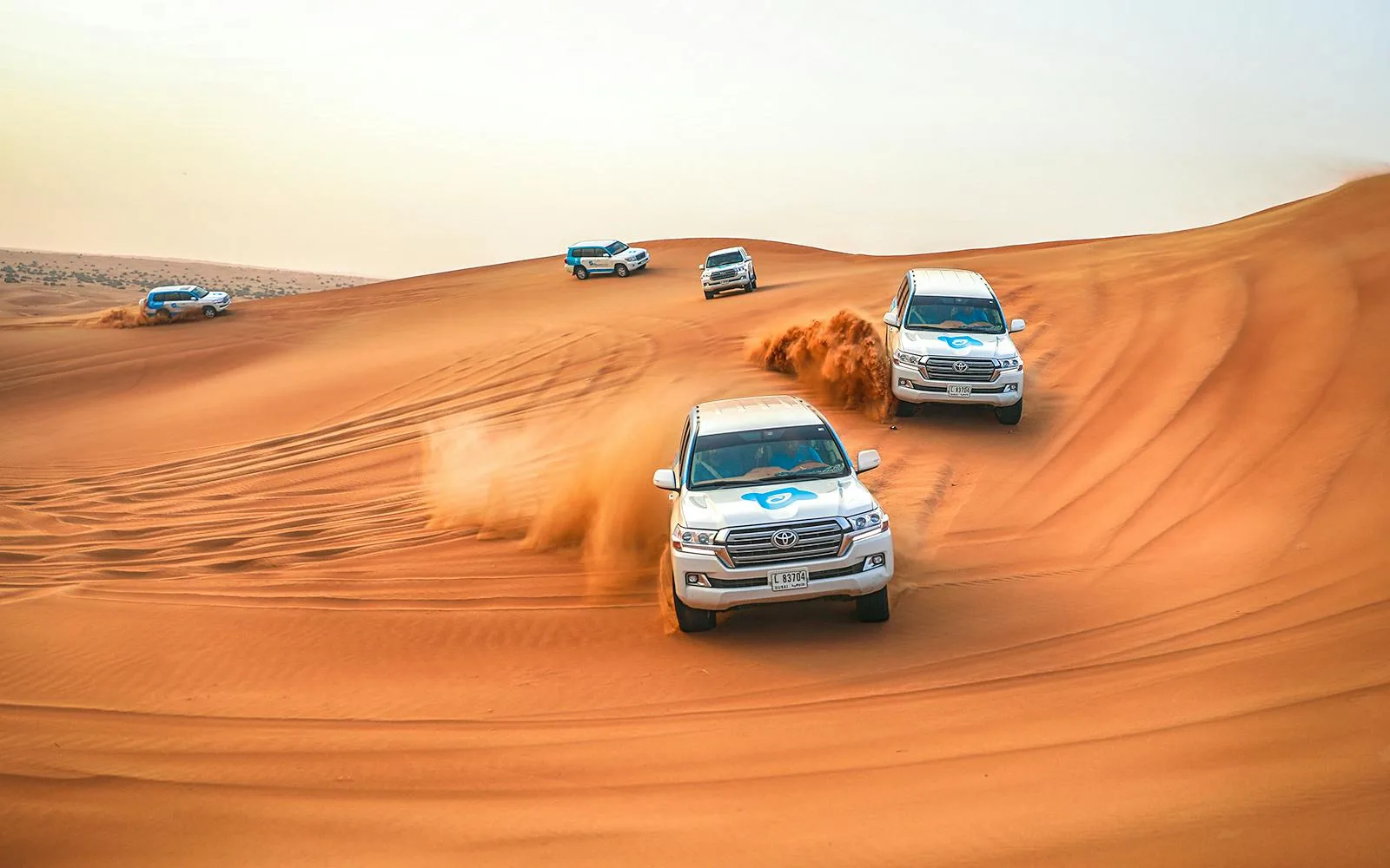 Morning Desert Safari