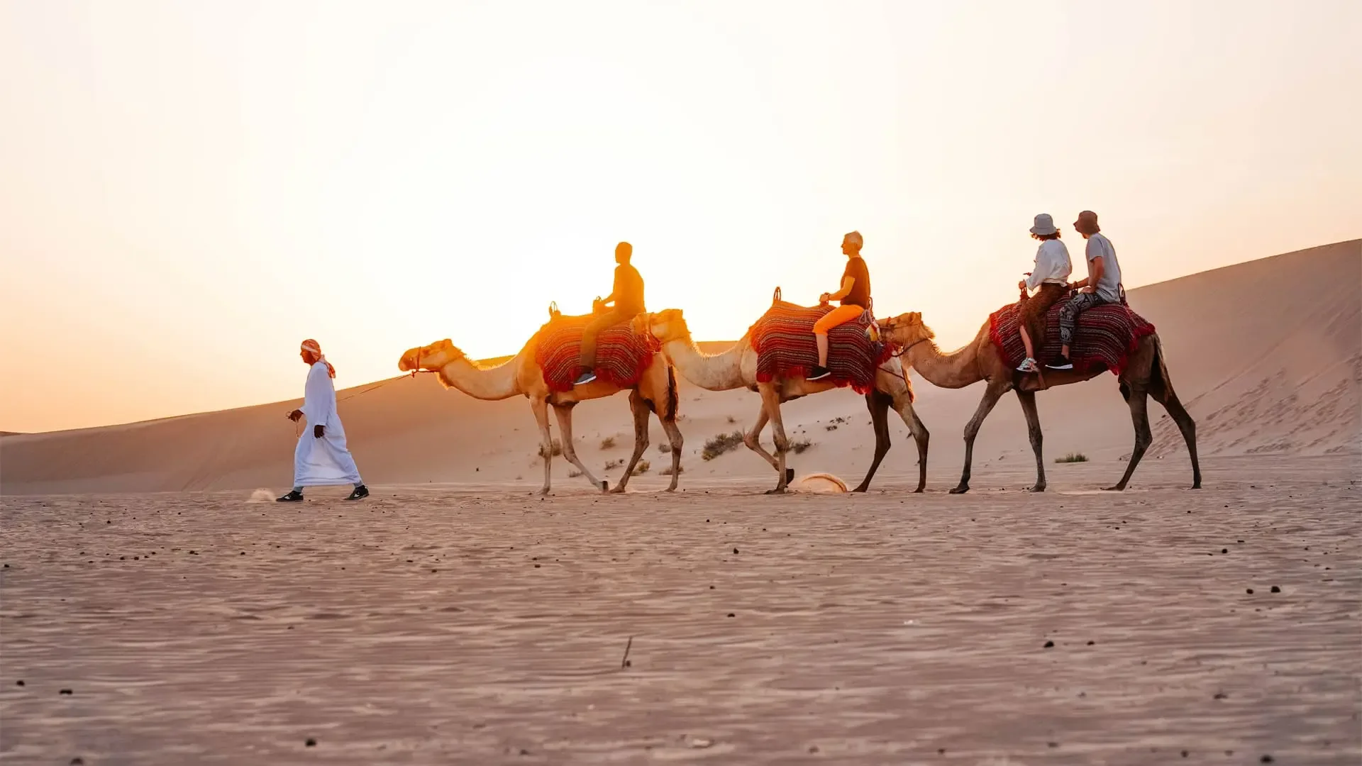 Camel Trekking Experience