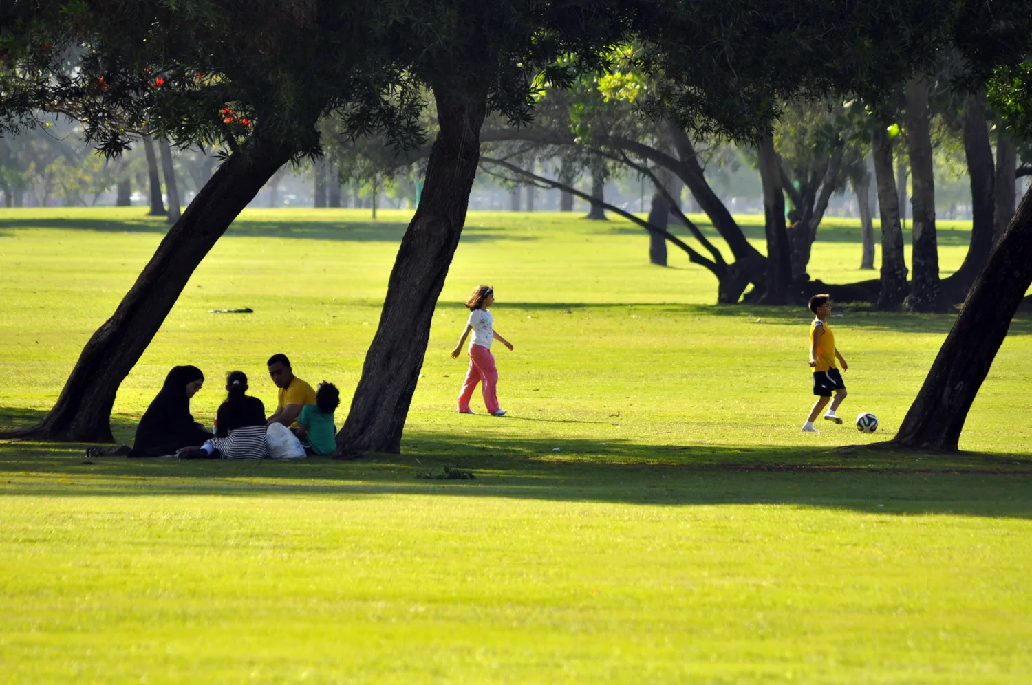 Al Safa Park
