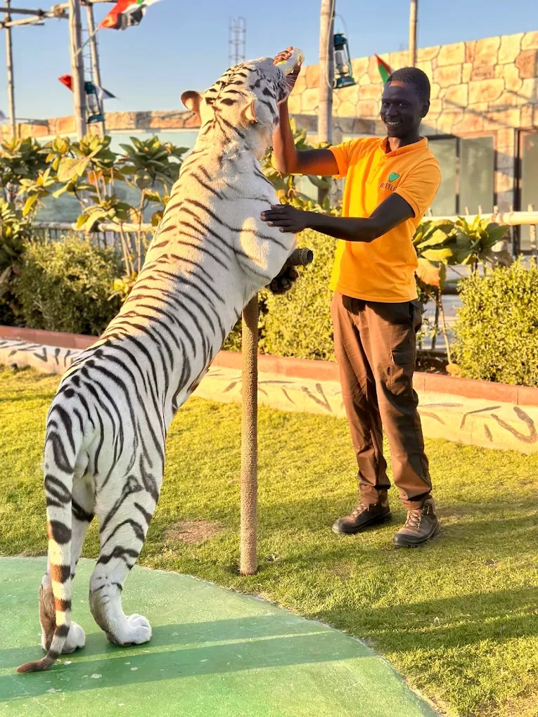Dubai Private Zoo - Wildland UAE