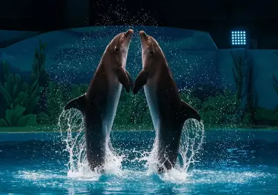 Dubai Dolphinarium