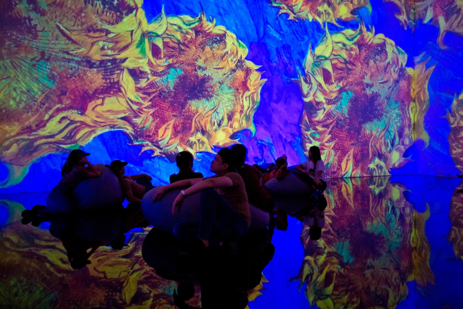 Theatre of Digital Art (TODA)