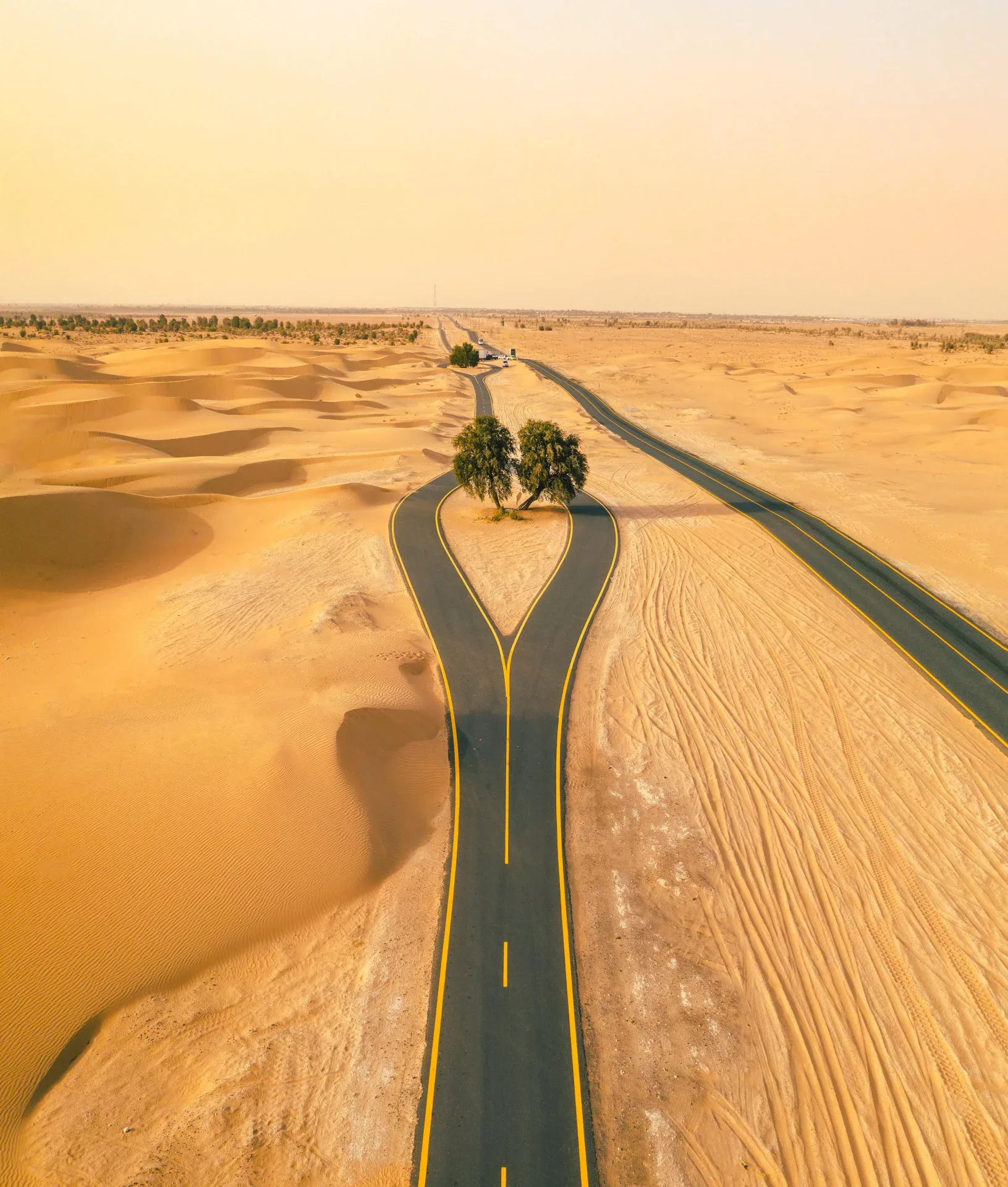 Al Qudra Cycle Track