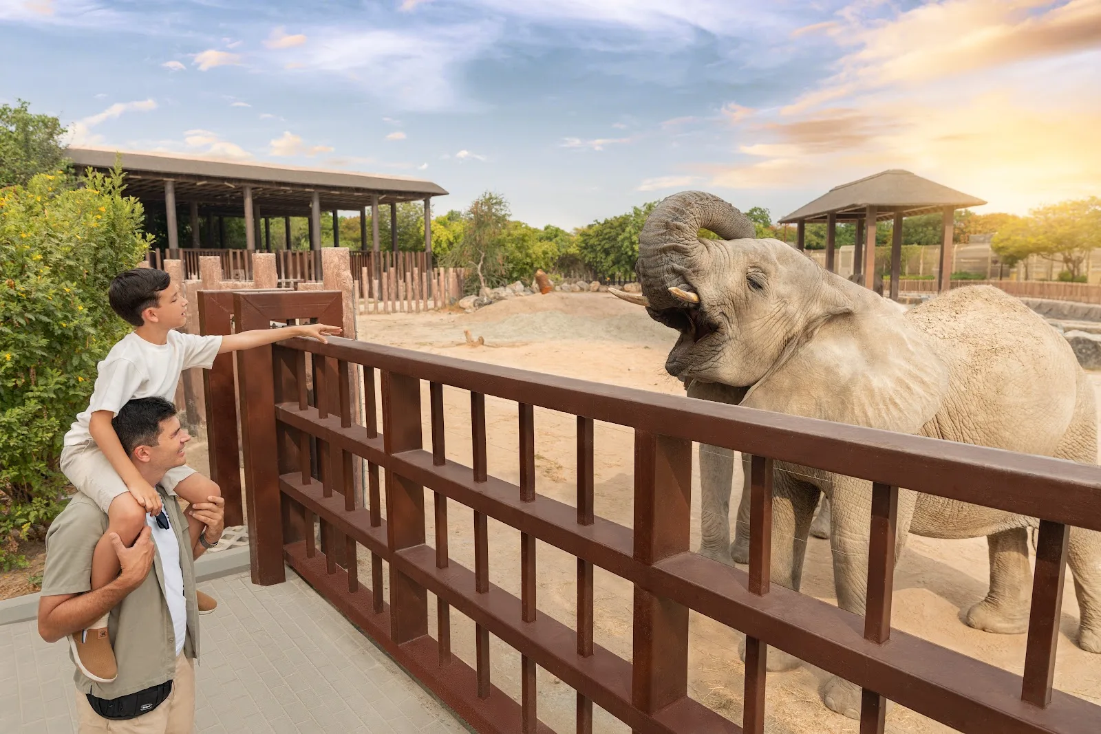 Dubai Safari Park