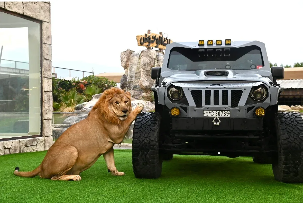 Dubai Private Zoo - Wildland UAE