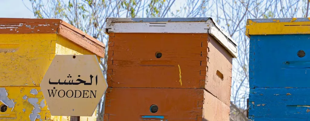 Hatta Honey Bee Garden