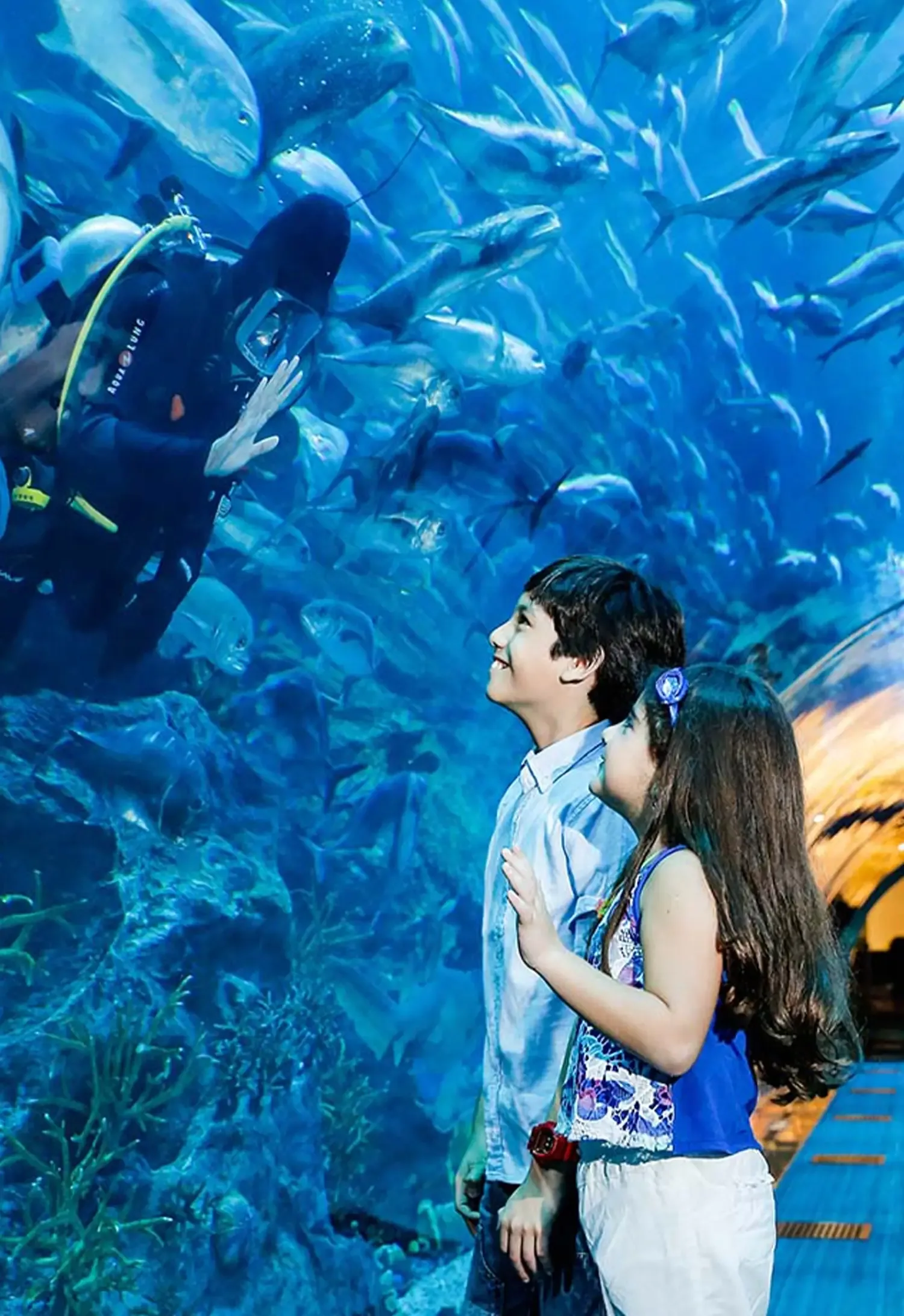Dubai Aquarium & Underwater Zoo