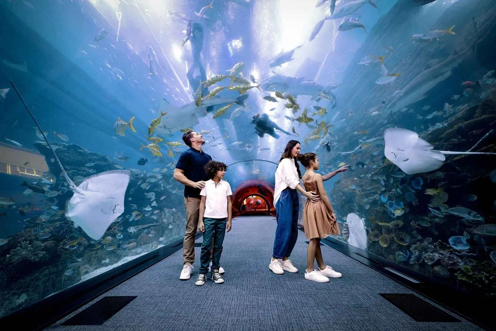 Dubai Aquarium & Underwater Zoo