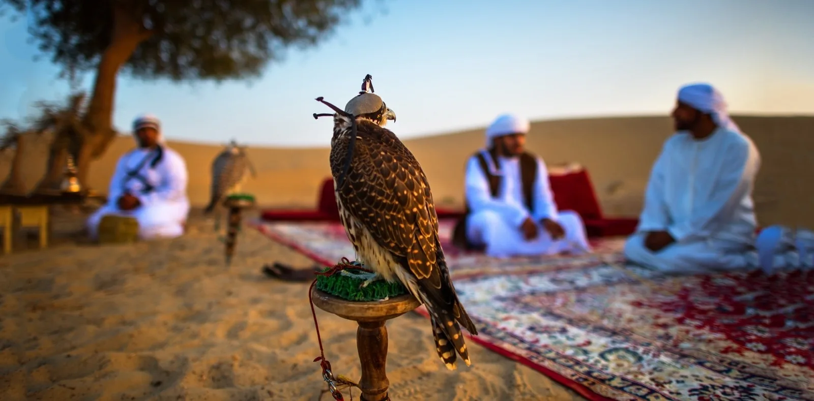 Al Marmoom Heritage Village