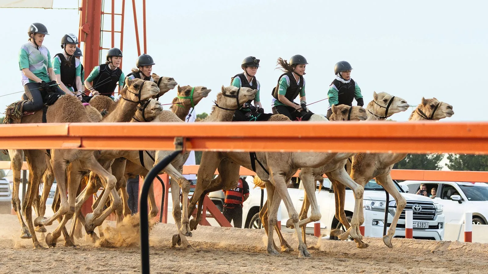 Al Marmoom Camel Racetrack