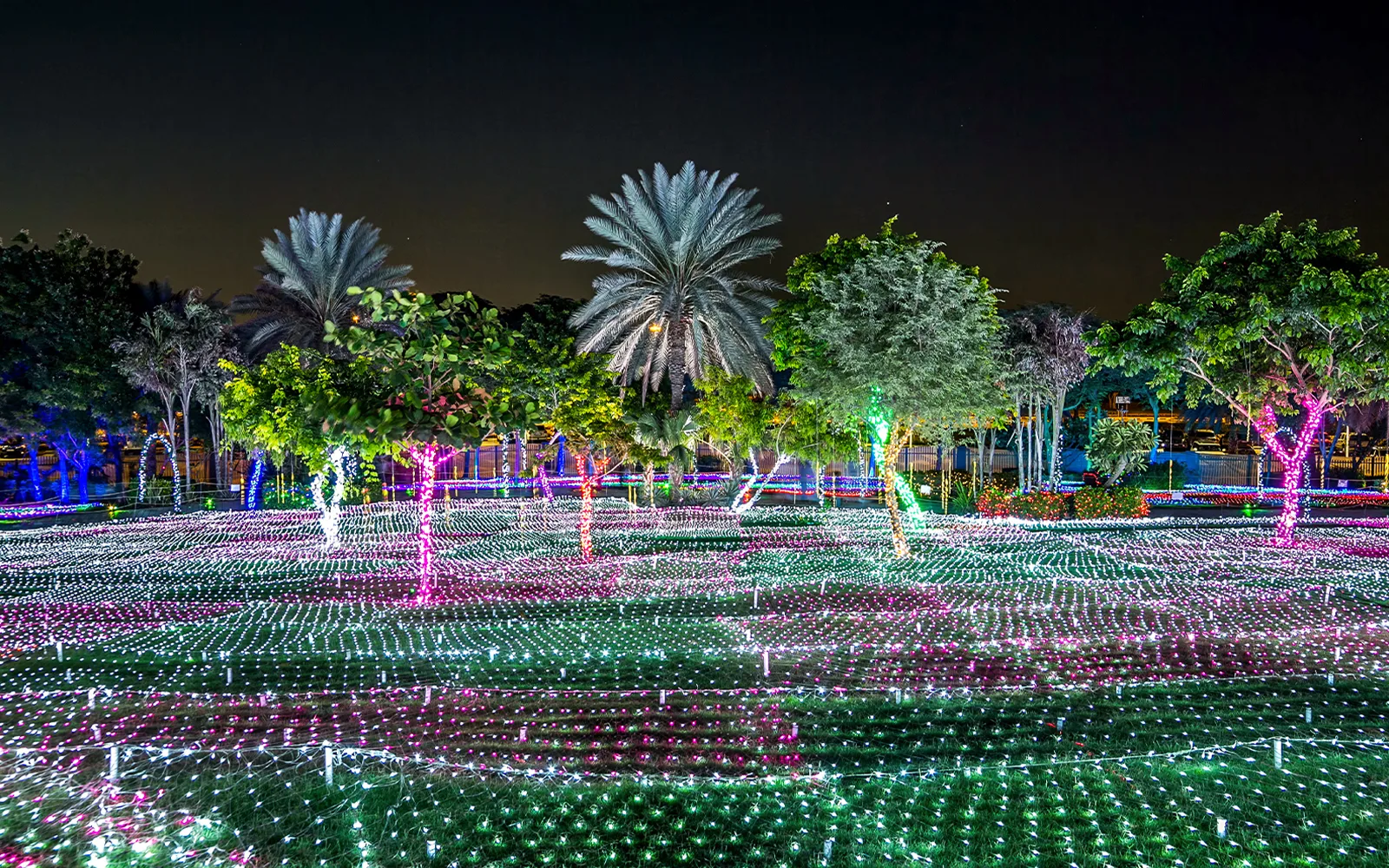 Dubai Garden Glow