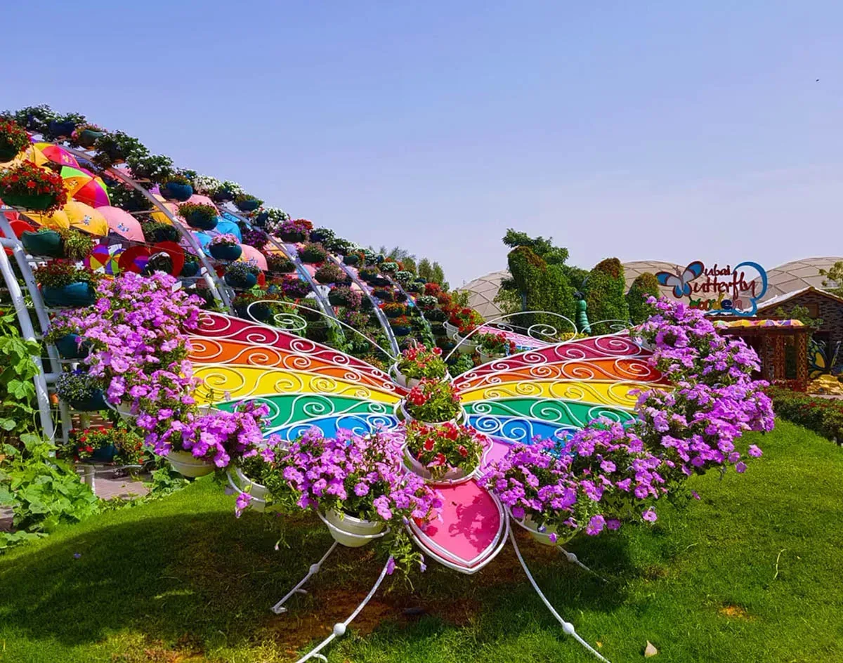Dubai Butterfly Garden