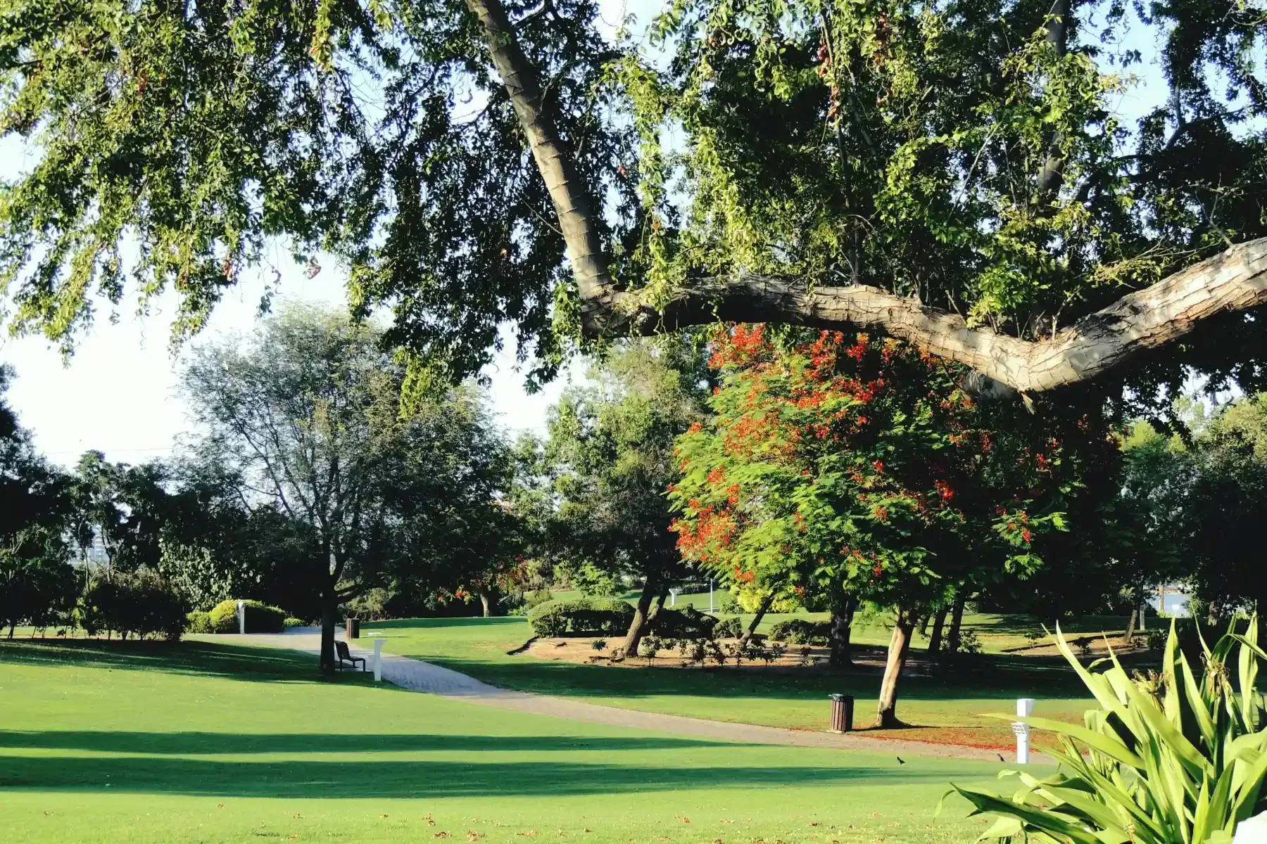 Creek Park