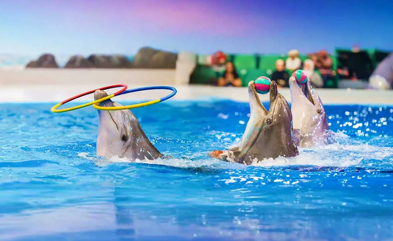 Dubai Dolphinarium