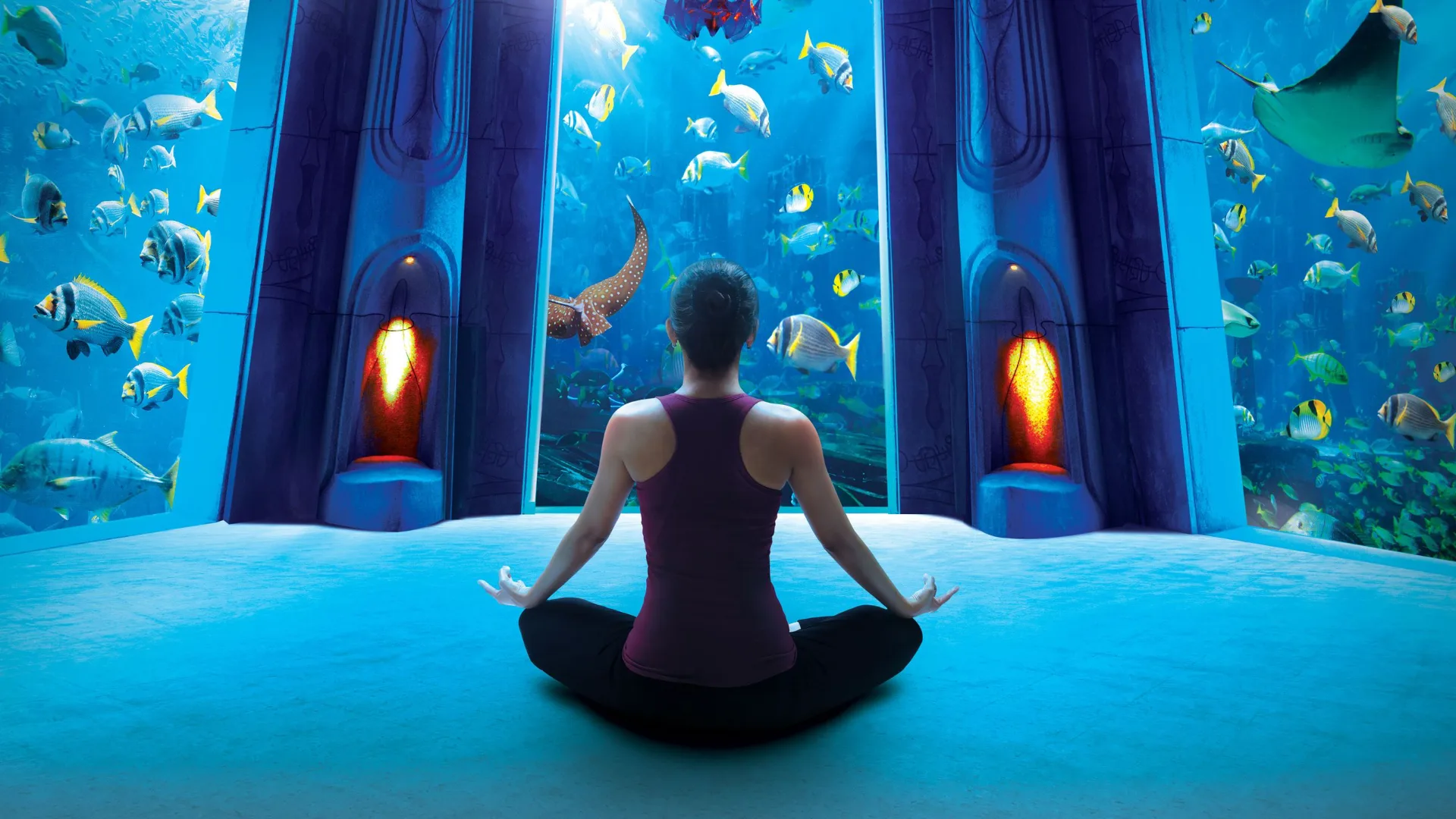 The Lost Chambers Aquarium