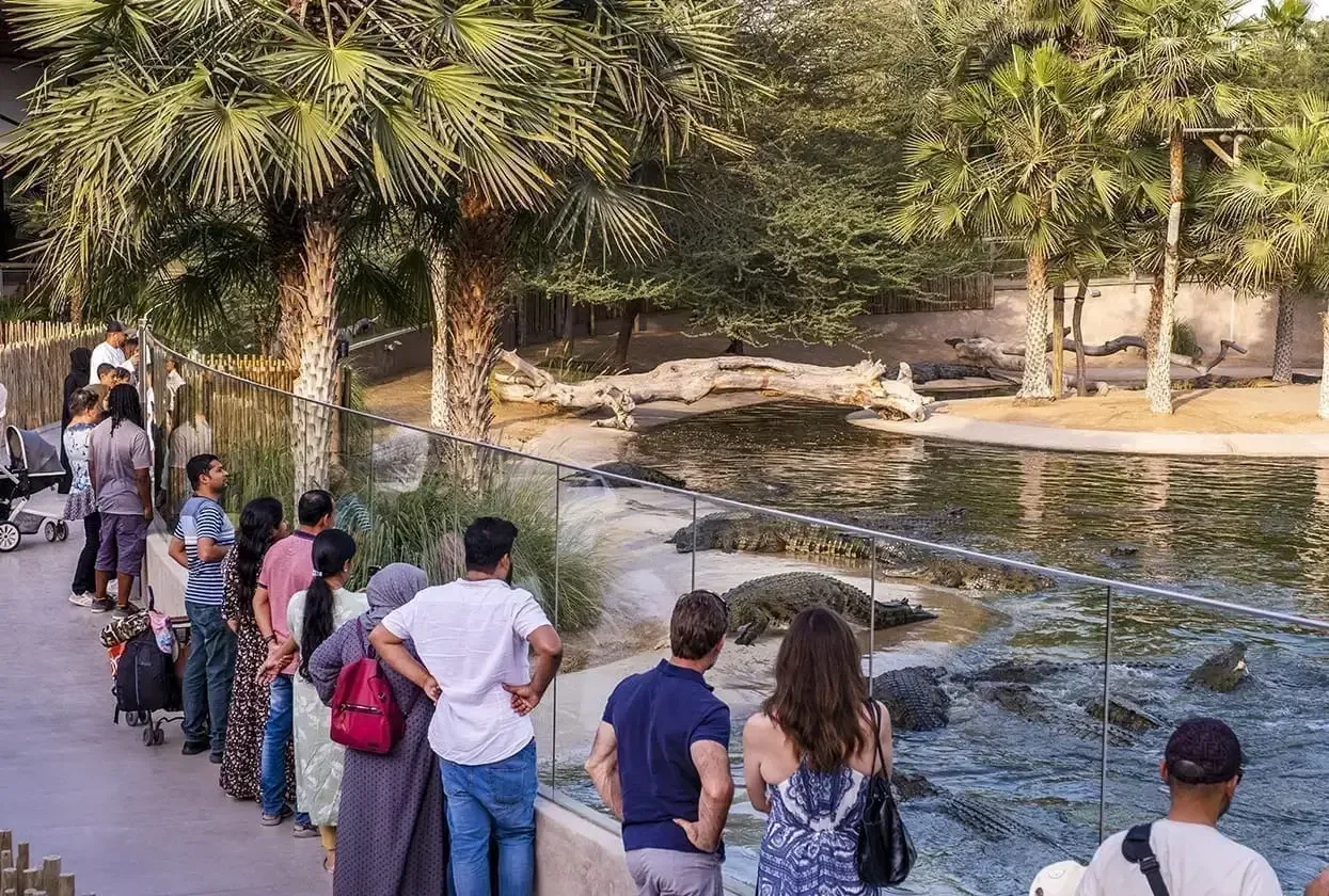 Dubai Crocodile Park