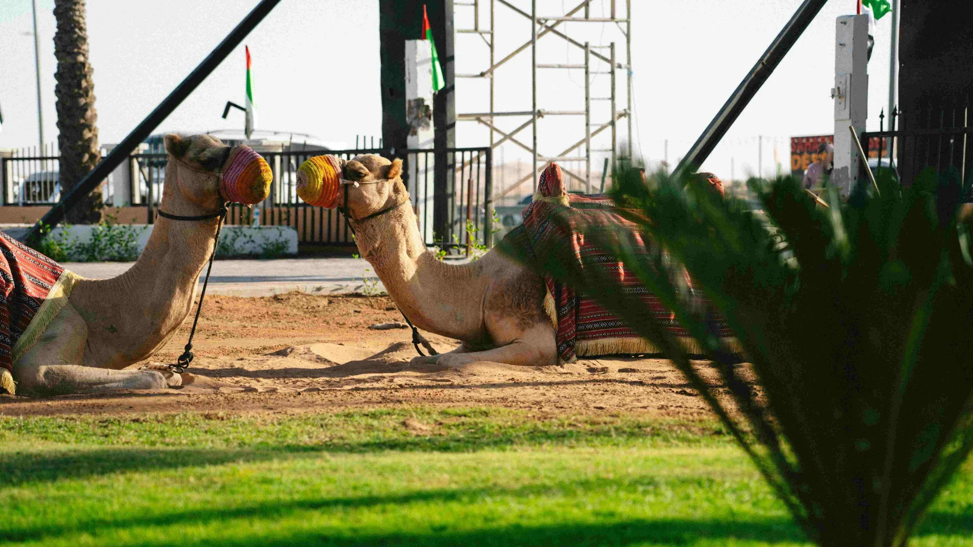 Al Marmoom Heritage Village