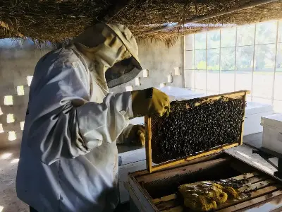 Hatta Honey Bee Garden