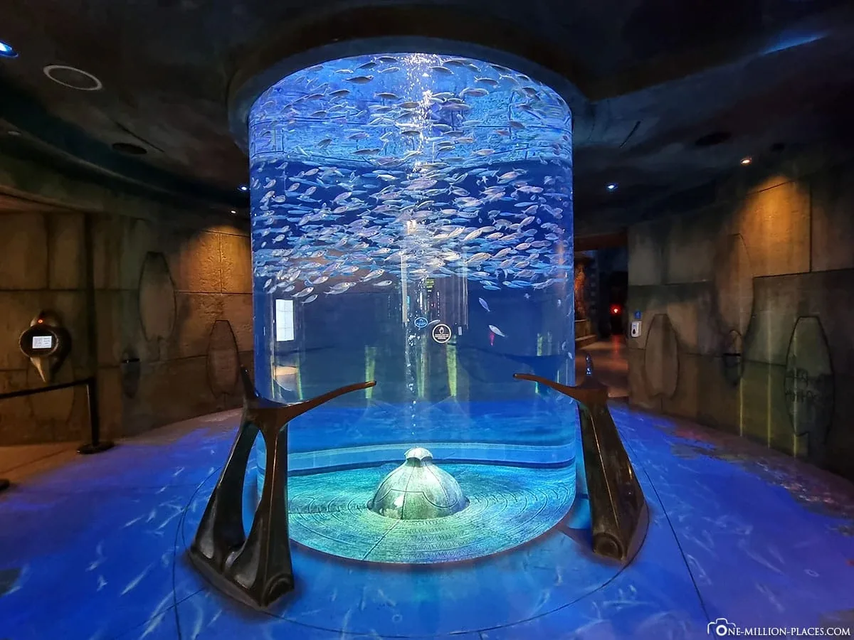 The Lost Chambers Aquarium