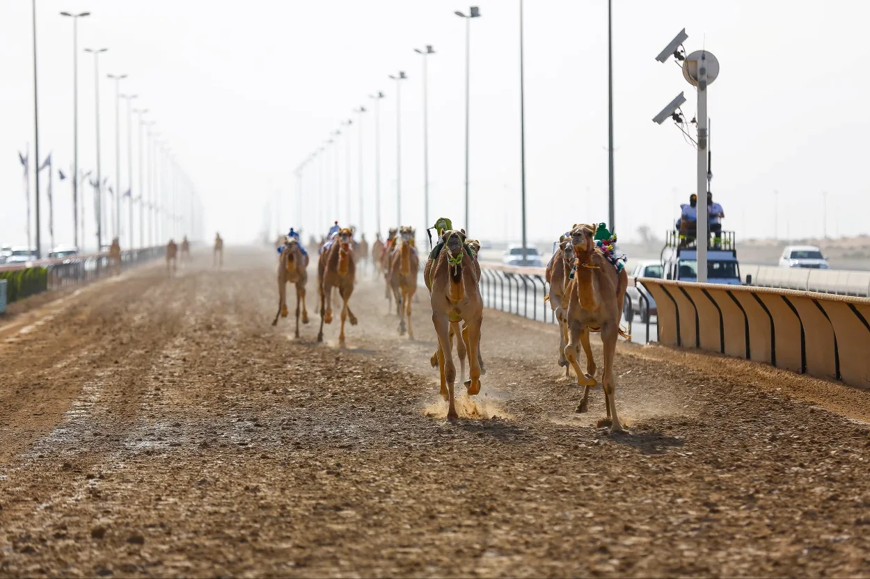 Al Marmoom Heritage Village