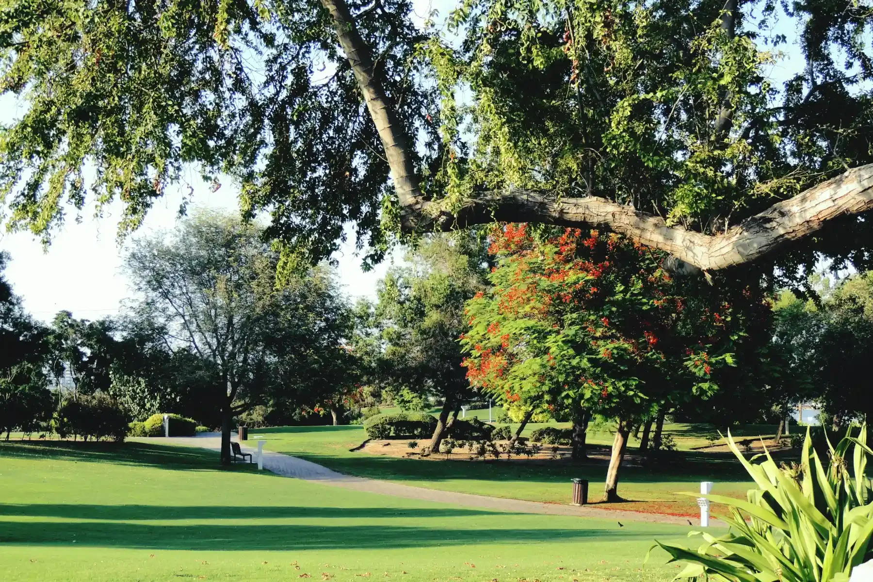 Creek Park