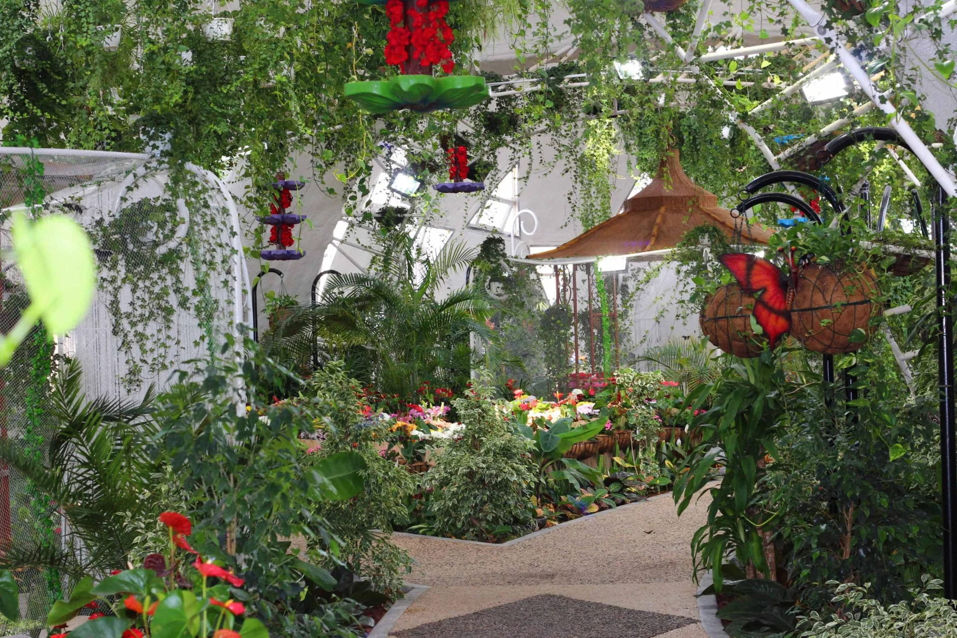 Dubai Butterfly Garden