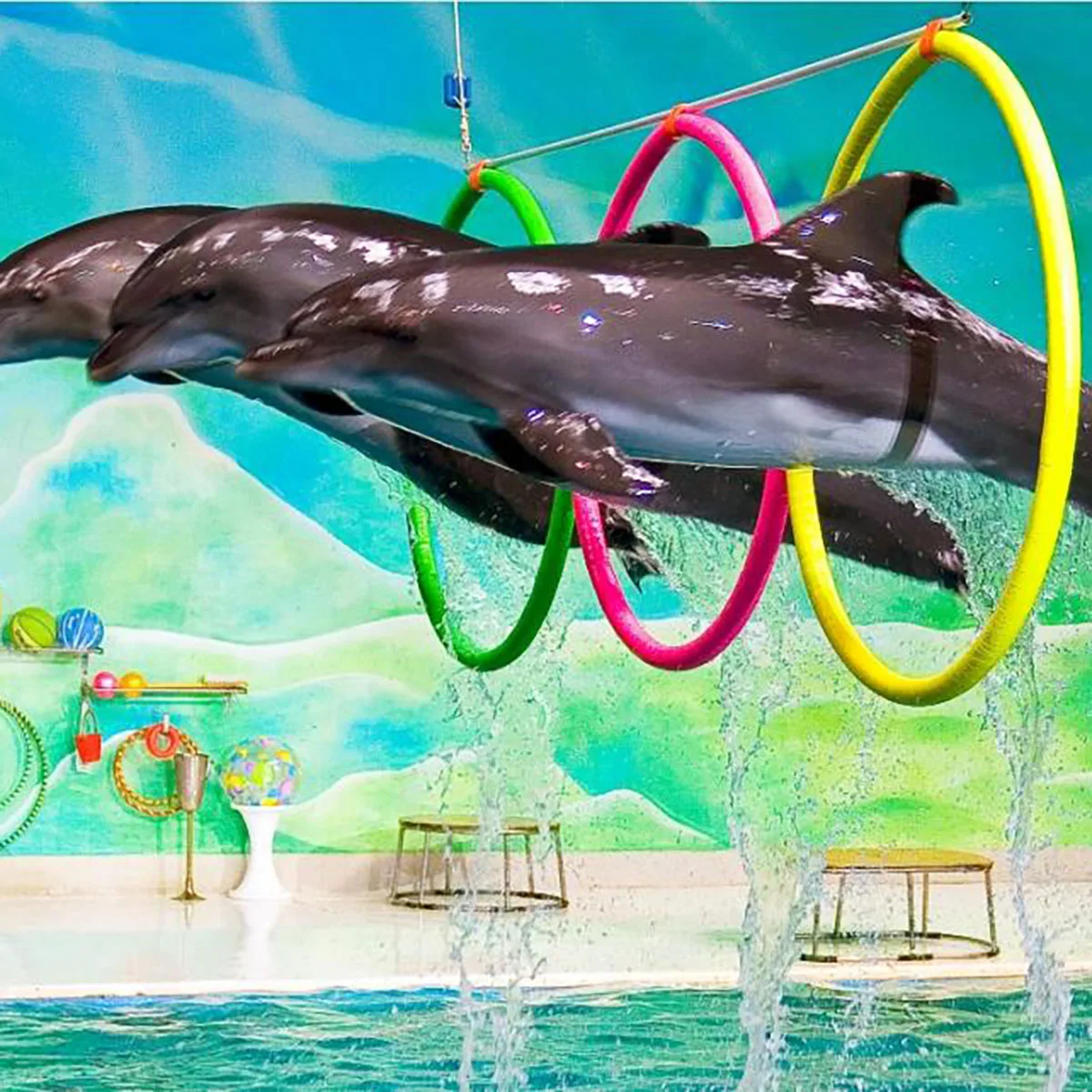 Dubai Dolphinarium