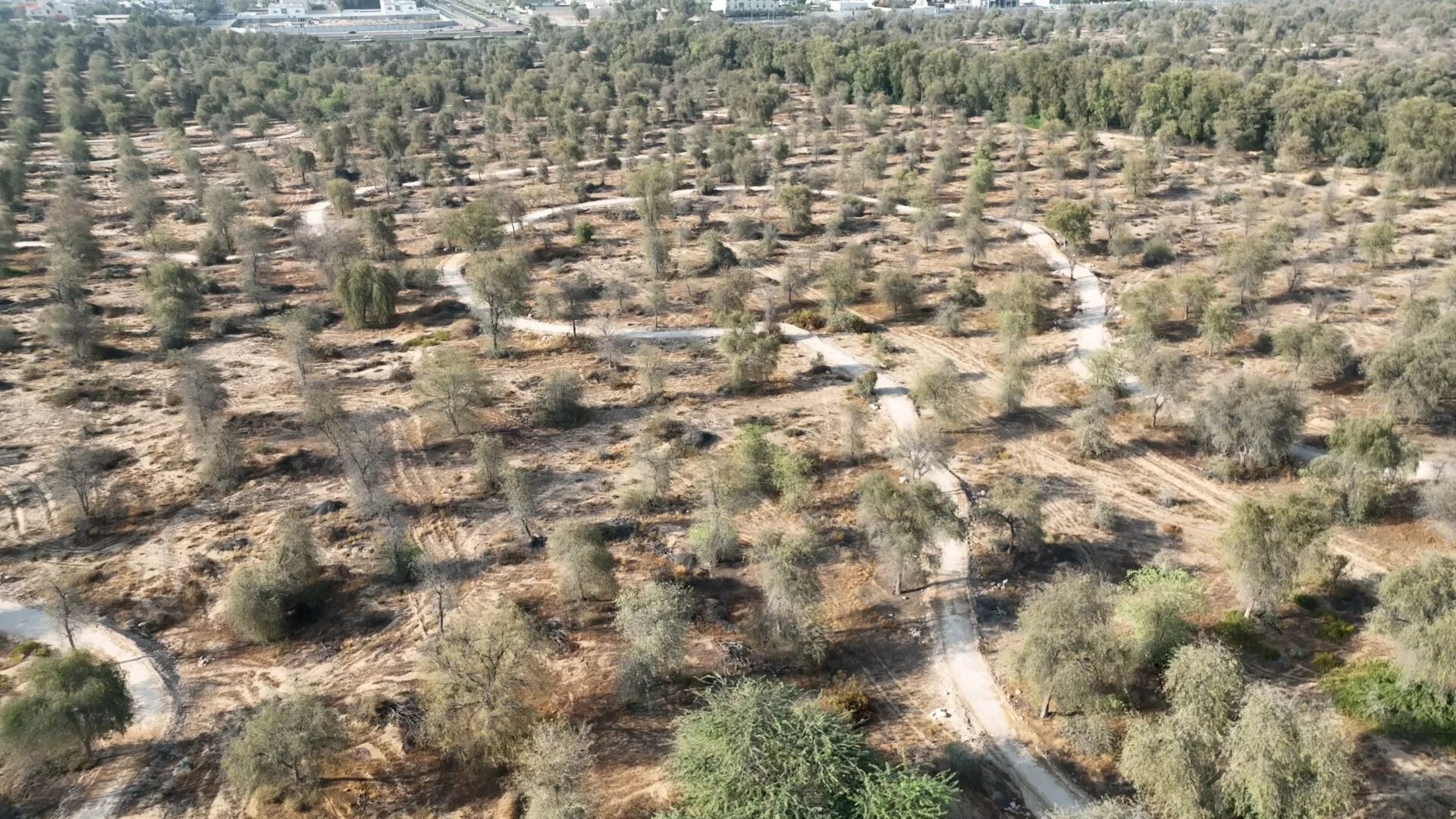 Mushrif National Park