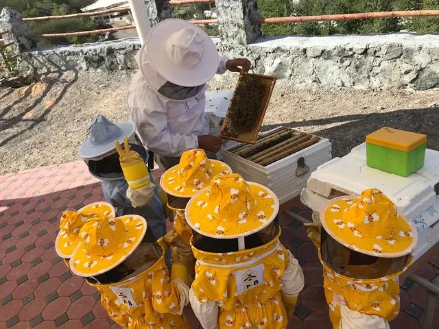 Hatta Honey Bee Garden