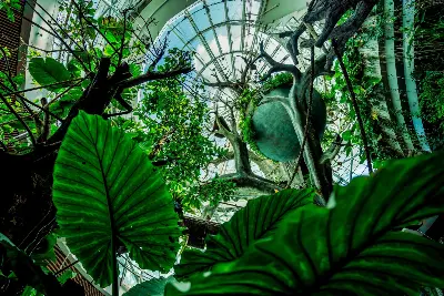 The Green Planet Dubai