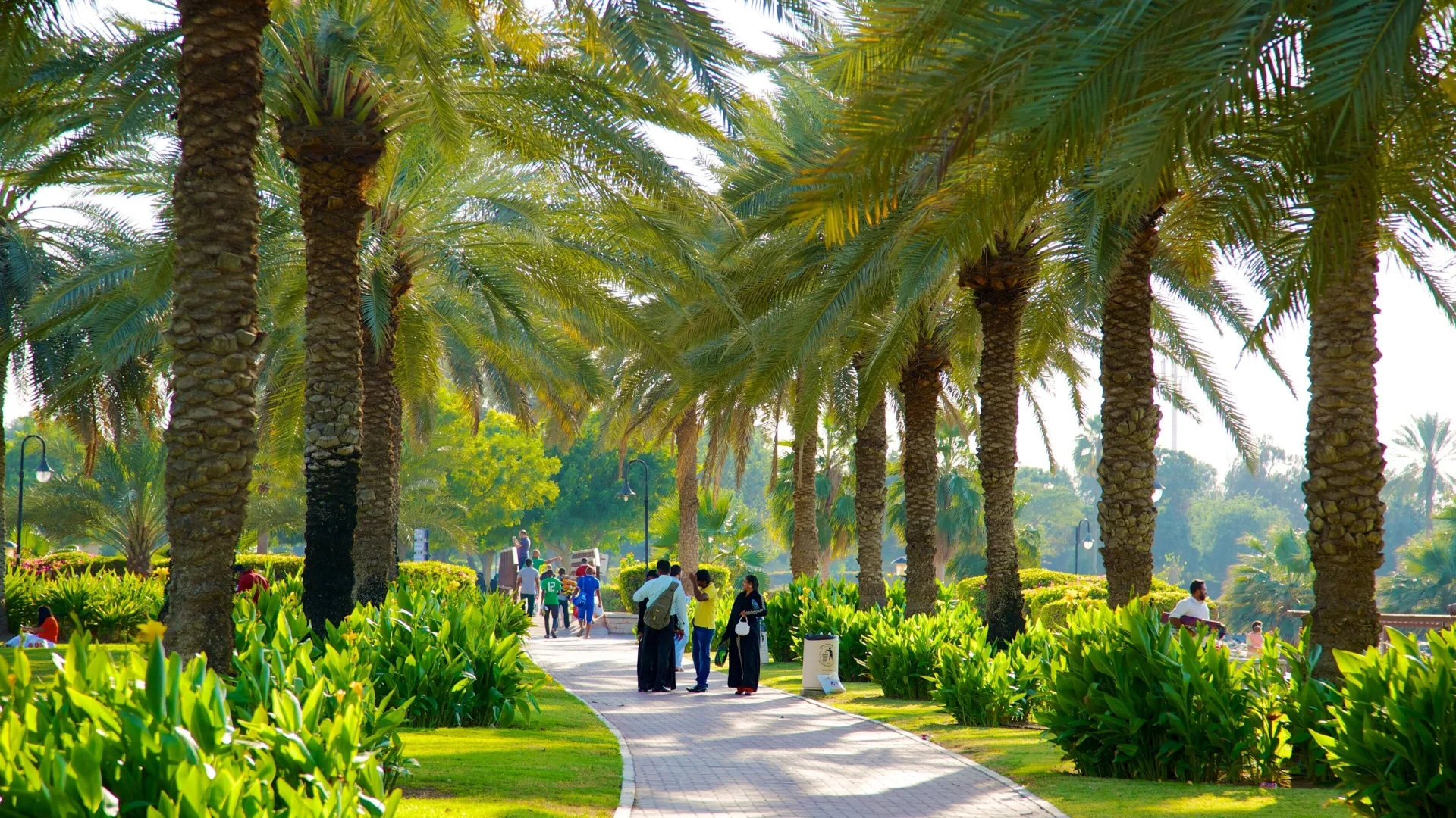 Al Safa Park