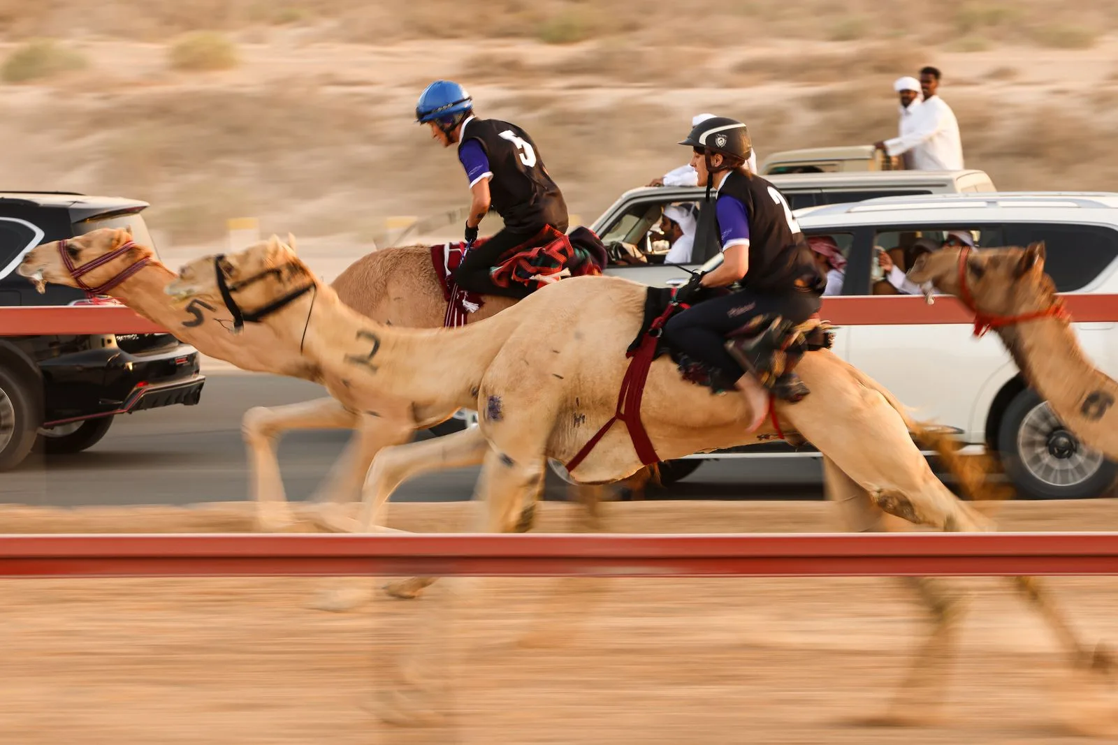 Al Marmoom Camel Racetrack