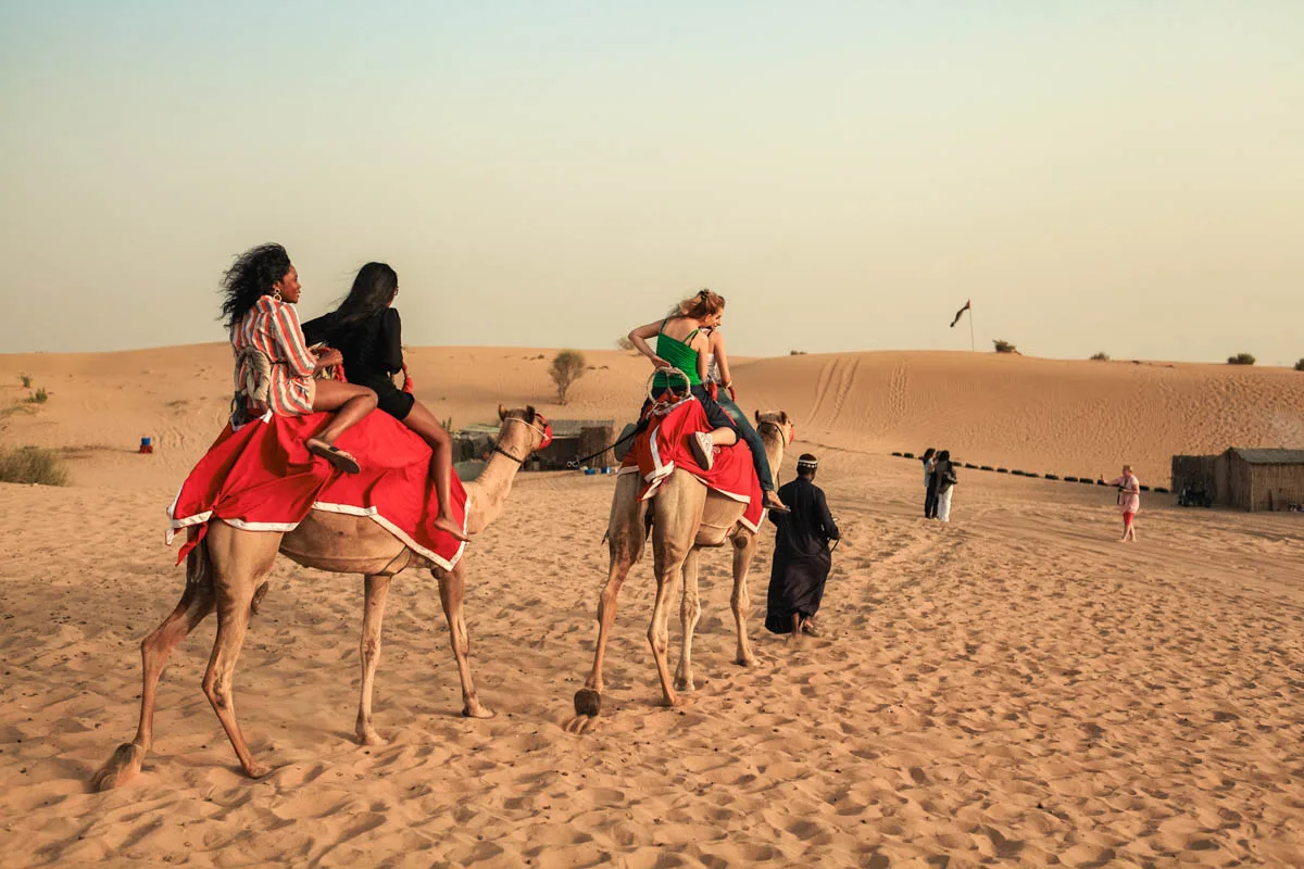 Camel Trekking Experience