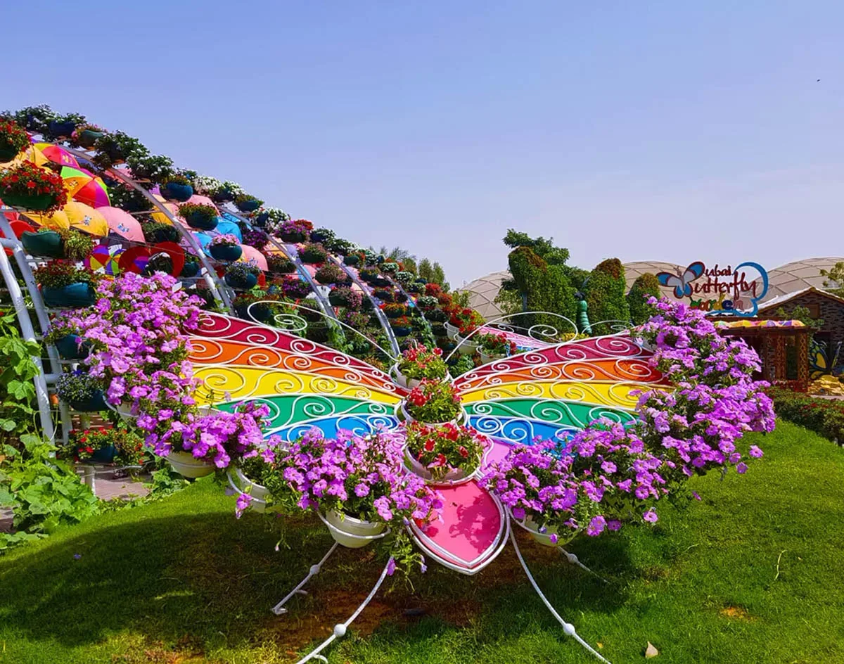 Dubai Butterfly Garden