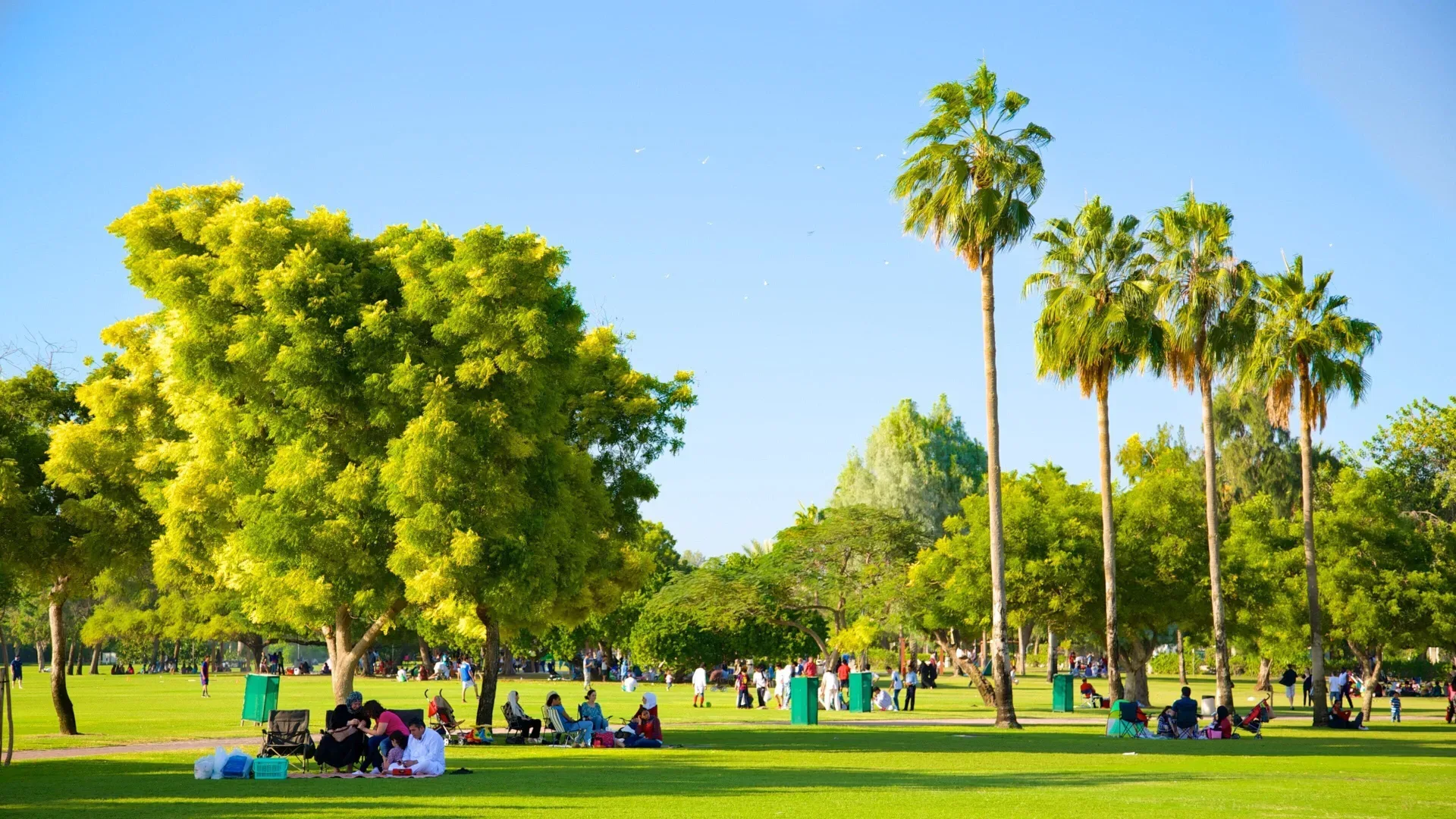 Al Safa Park