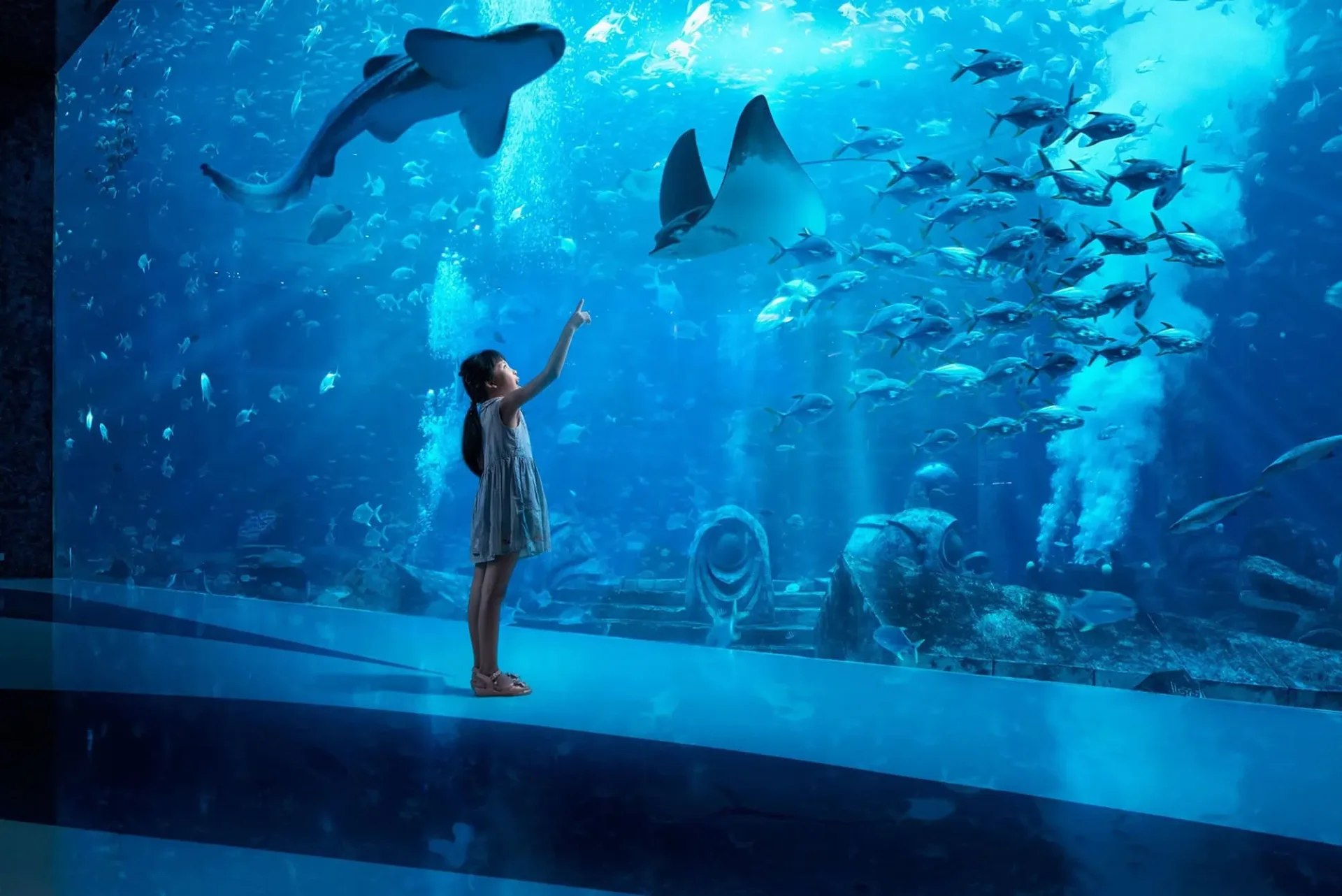 The Lost Chambers Aquarium