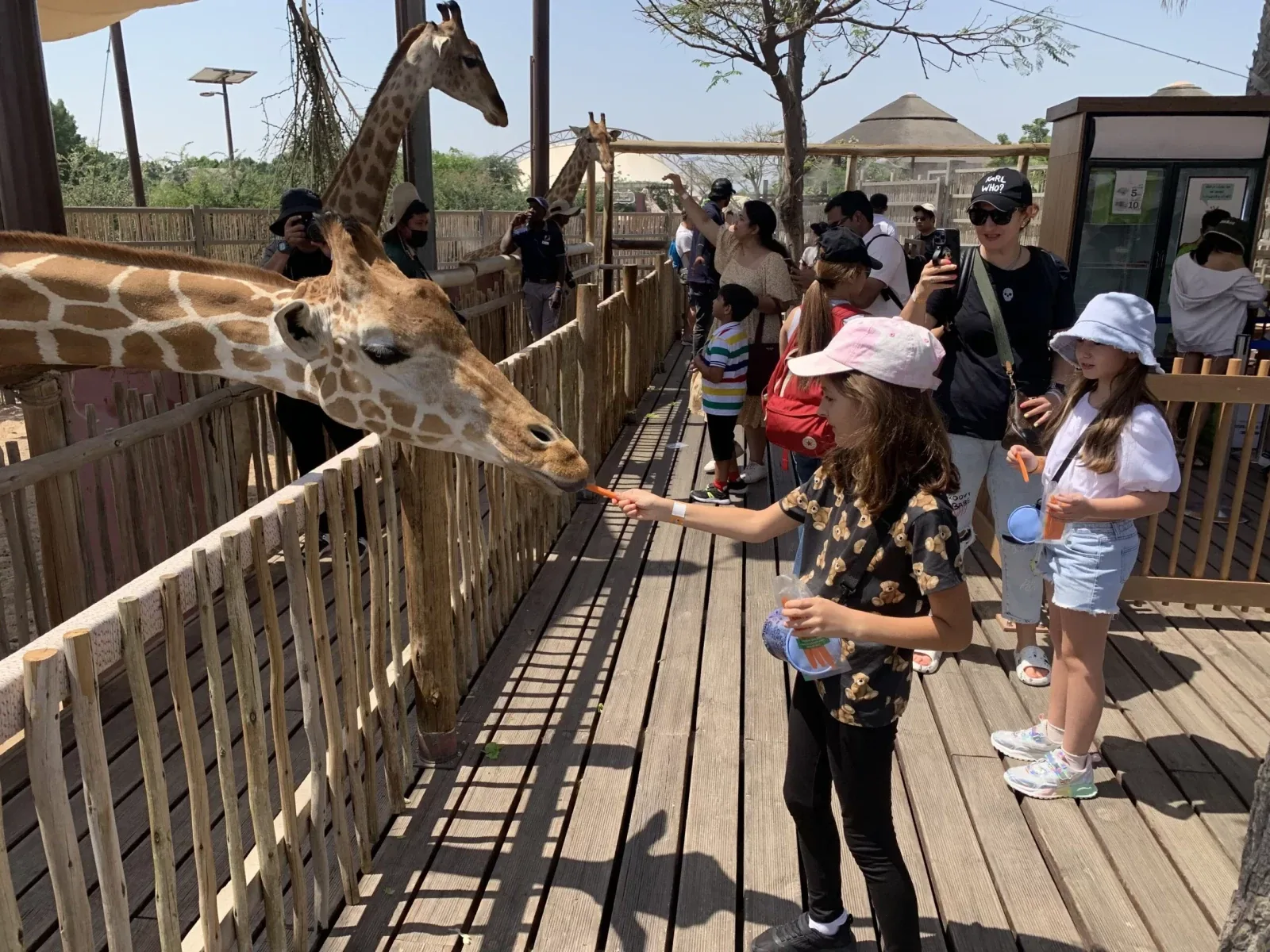 Dubai Safari Park