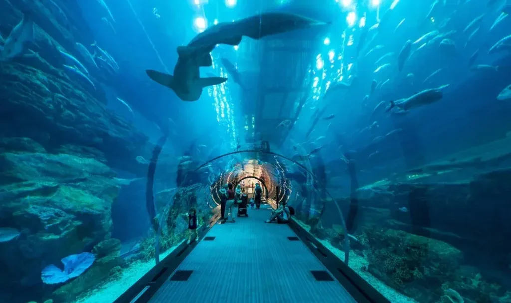 The Lost Chambers Aquarium