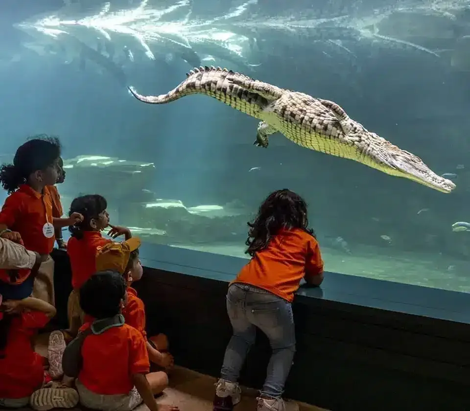 Dubai Crocodile Park