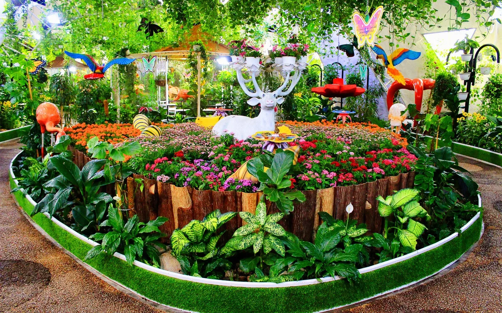 Dubai Butterfly Garden
