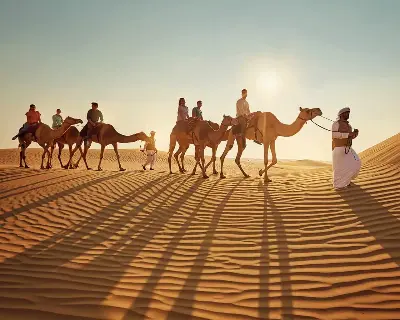 Camel Trekking Experience