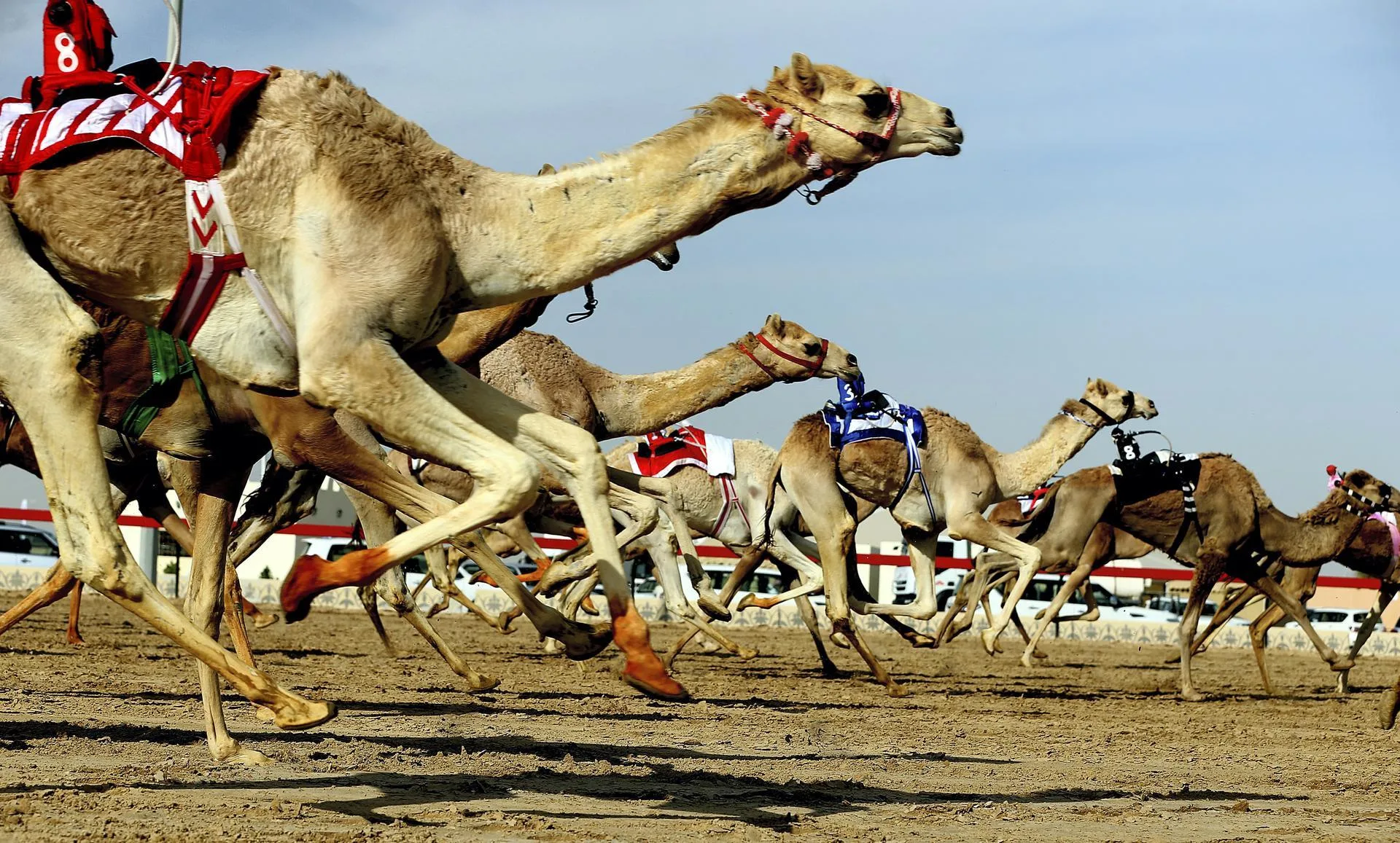 Al Marmoom Heritage Village