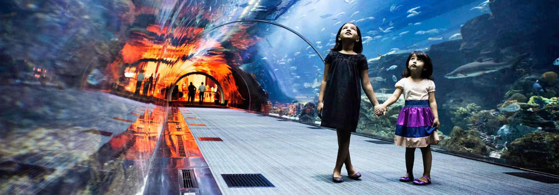 Dubai Aquarium & Underwater Zoo