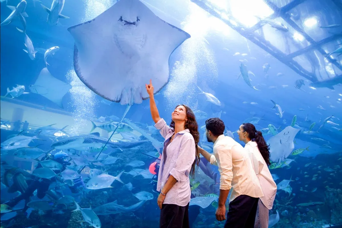 Dubai Aquarium & Underwater Zoo